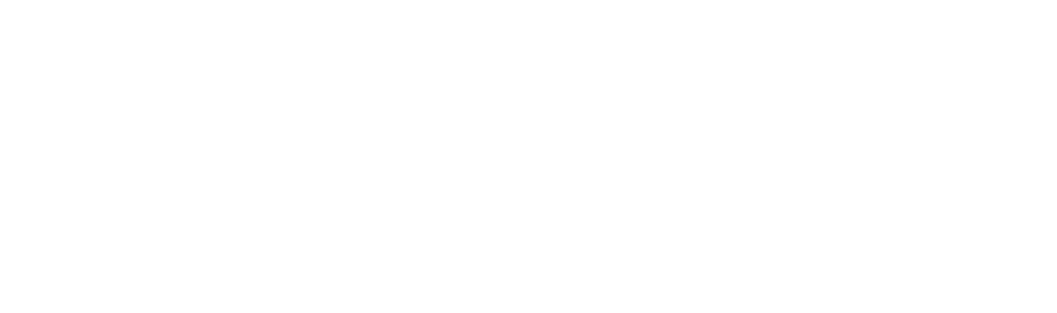 PT Salon